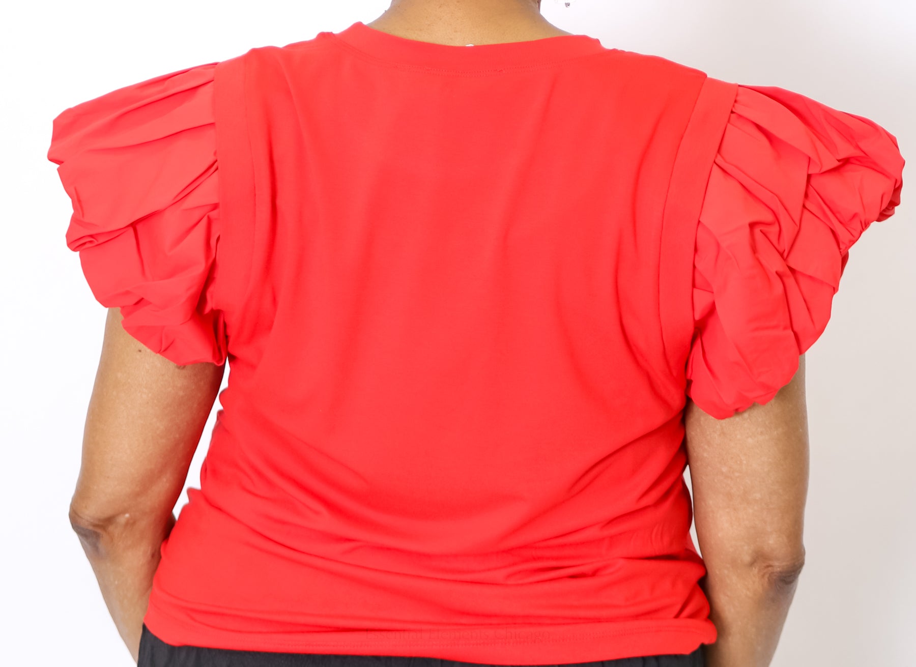 Ruffle Sleeve Top