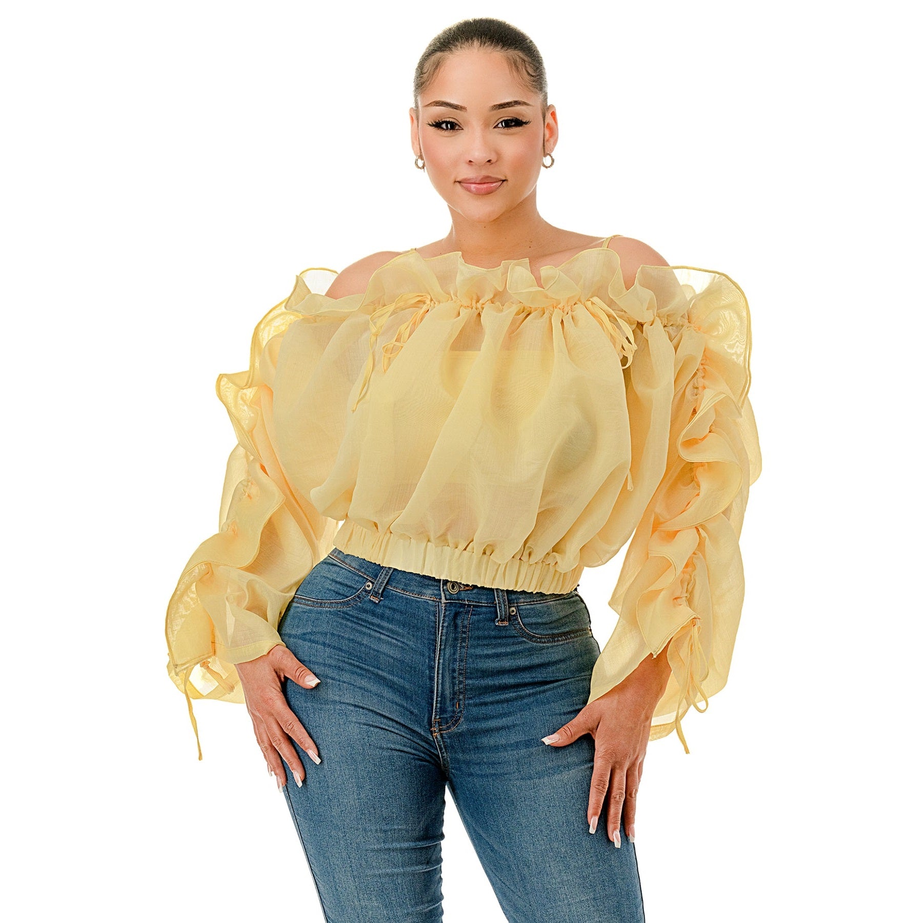 Sheer Madness Ruffled Top - Essential Elements Chicago